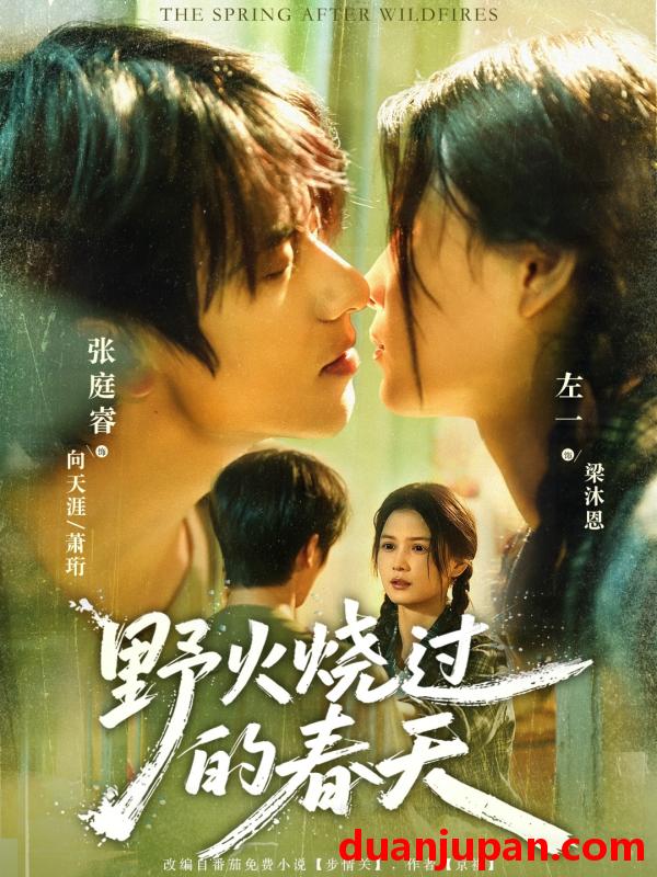 短剧 短剧 野火烧过的春天（85集全）张庭睿/左一