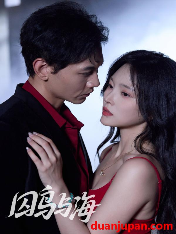 短剧 短剧 囚鸟与海（51集全）苗雨峤/徐菡琳