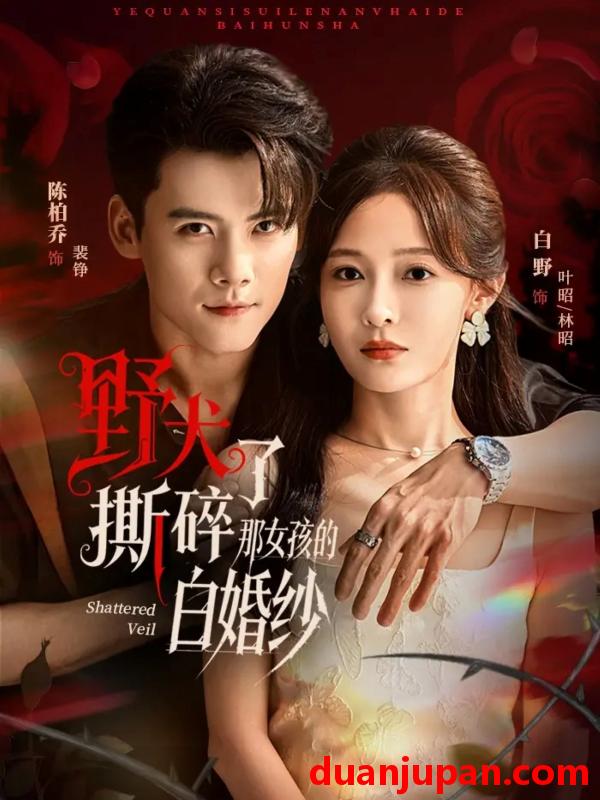 短剧 野犬撕碎了那女孩的白婚纱（78集）陈刚＆白野