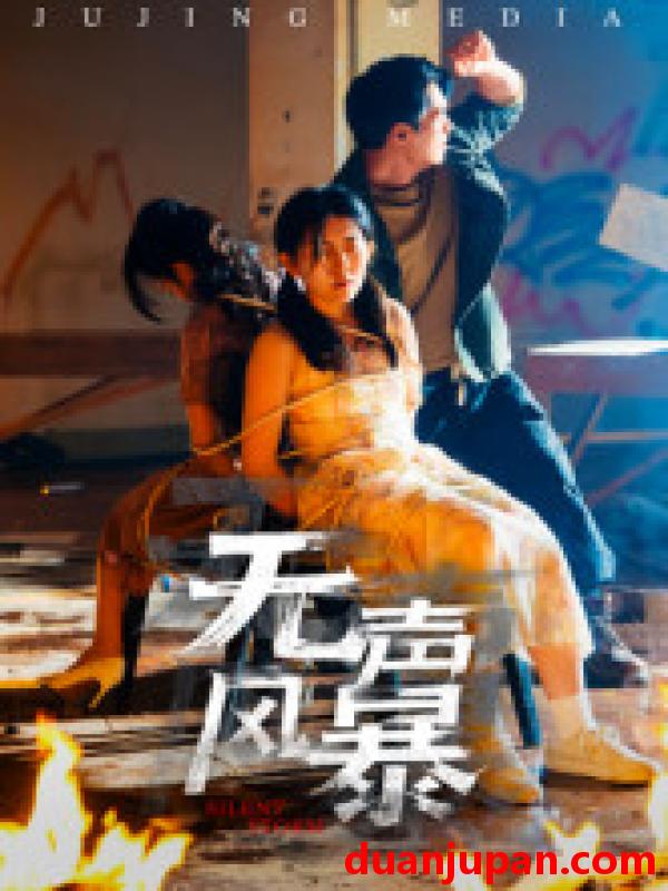 短剧 无声风暴（33集）鄢子纶