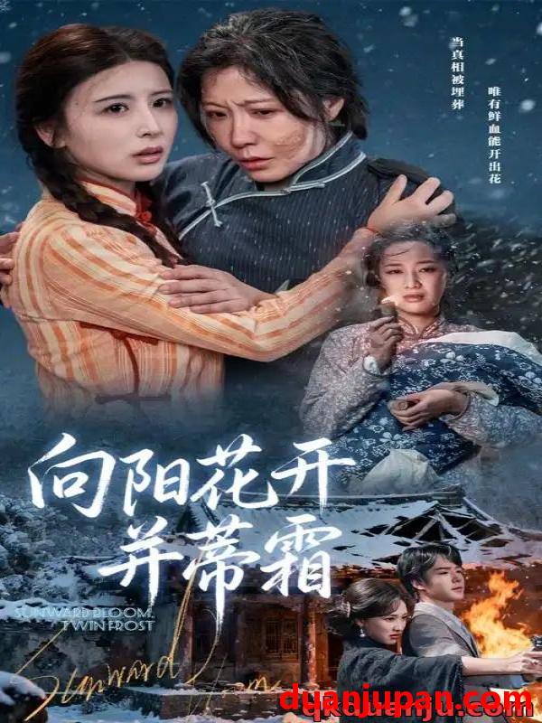 短剧 短剧 向阳花开并蒂霜（60集全）燕颢元/李沁霏