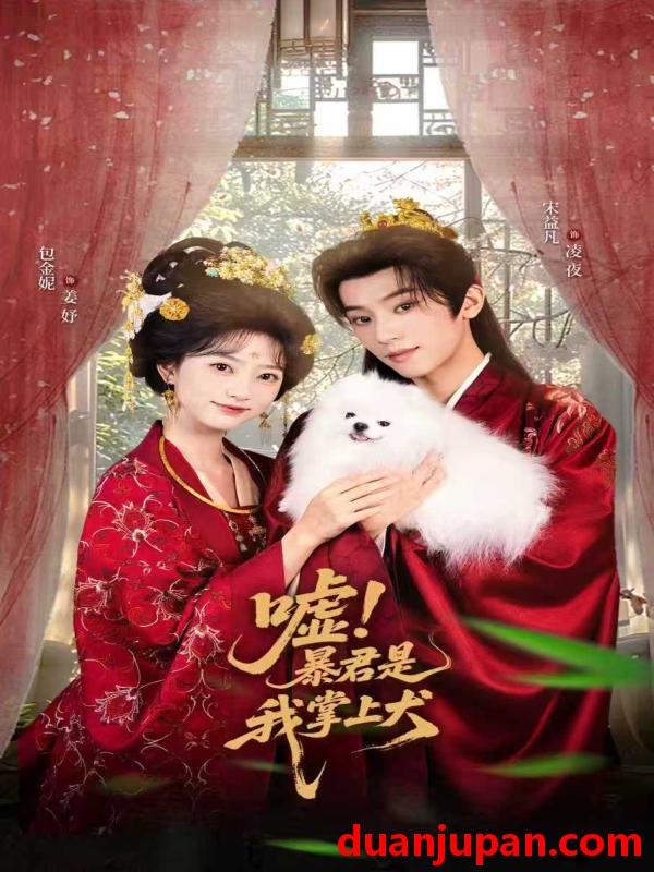 短剧 嘘！暴君是我掌上犬&废妃逆袭陛下借宠识真心（40集）包金妮&宋益凡