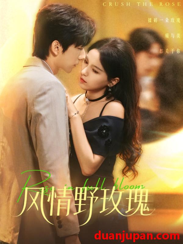 短剧 风情野玫瑰＆揉碎玫瑰（70集）方思畅＆冯子毅