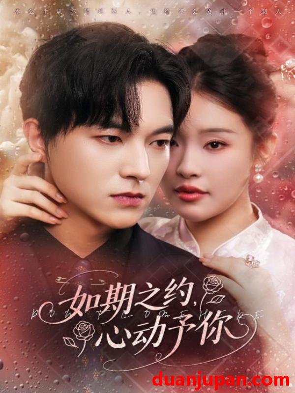 短剧 短剧 如期之约心动予你（82集全）权睿/魏天浩
