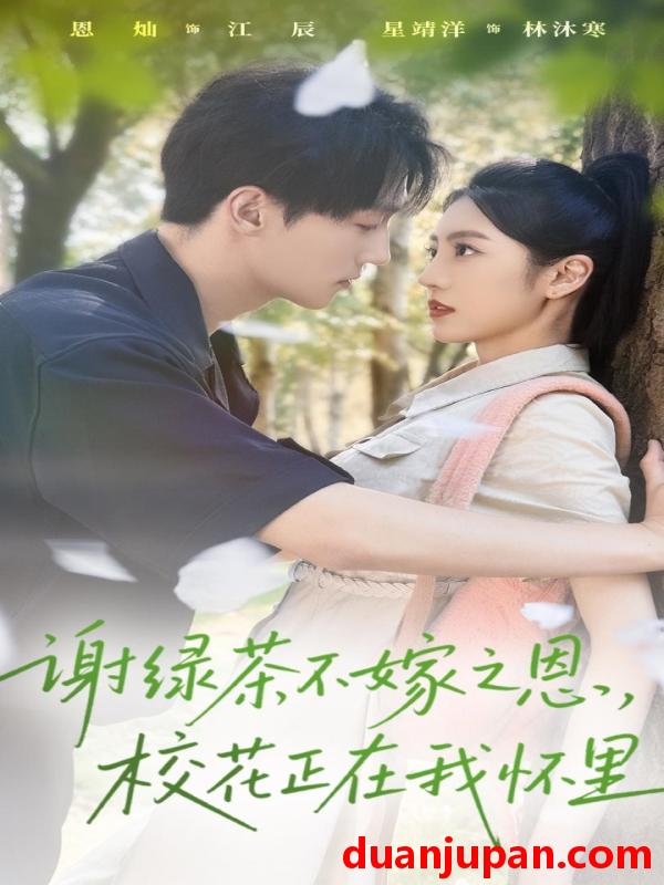 短剧 谢绿茶不嫁之恩，校花正在我怀里（56集）星靖洋&恩灿