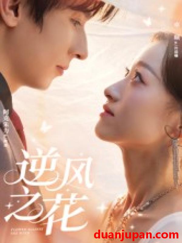短剧 逆风之花（60集）阿克朱力