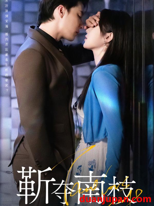 短剧 靳夺南枝＆甜欲肆吻（79集）杜亚飞＆刘夕语