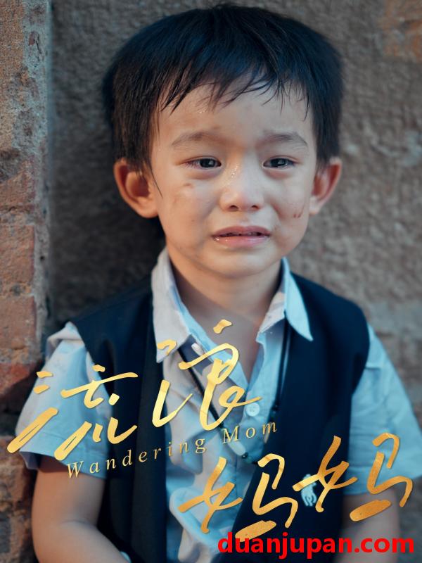 短剧 流浪妈妈（30集）