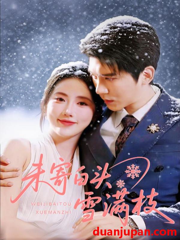 短剧 未寄白头雪满枝（61集）金鑫欣&冯思源