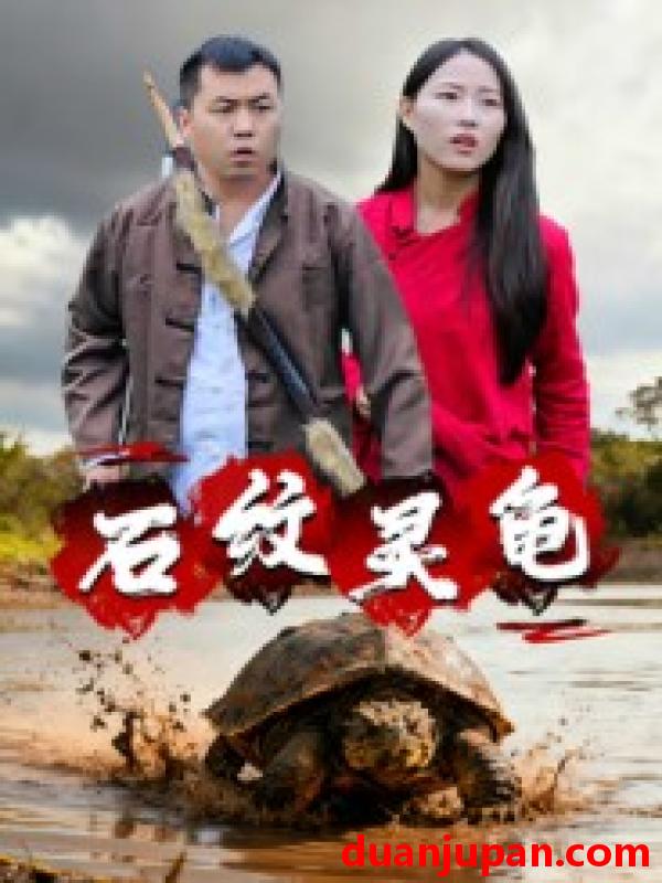 短剧 石纹灵龟（30集）王浩&刘灵
