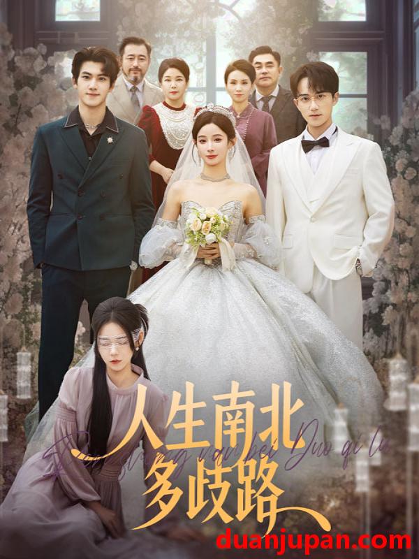 短剧 人生南北多歧路（45集）谭心＆辛灏云