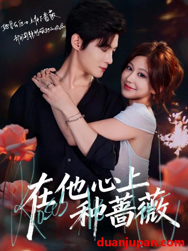 短剧 在他心上种蔷薇（81集）柴慧欣＆谢鸿鑫