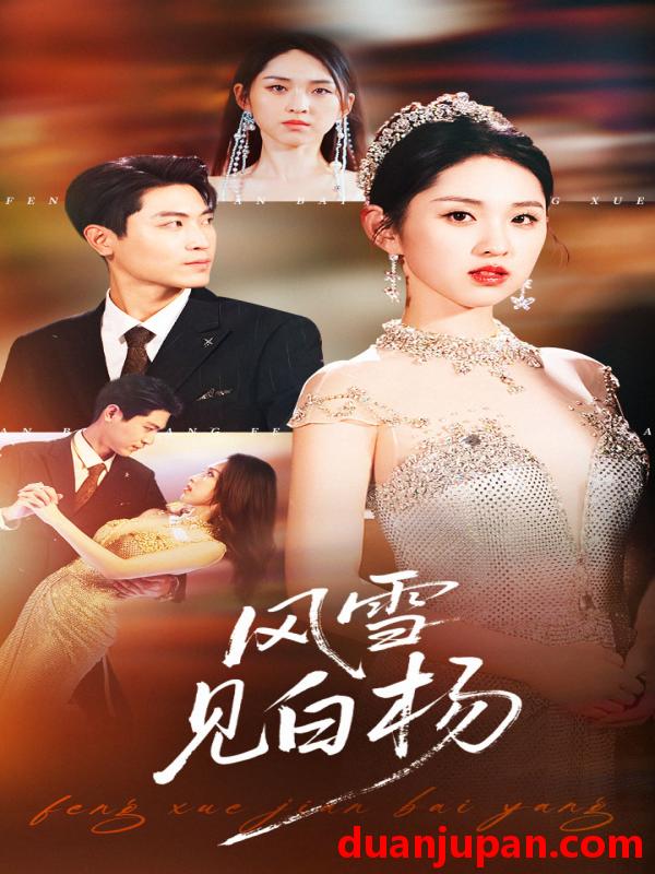 短剧 风雪见白杨（93集）晓渔&禹麟