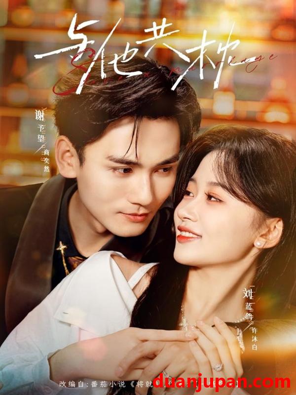 短剧 与他共枕（81集）谢予望＆刘蓝鸽