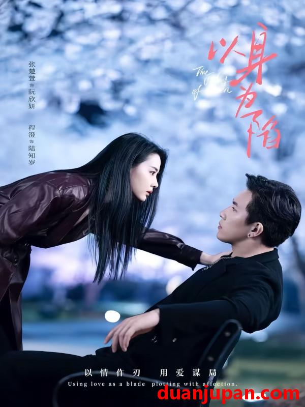 短剧 以身为陷（80集）程澄＆张楚萱