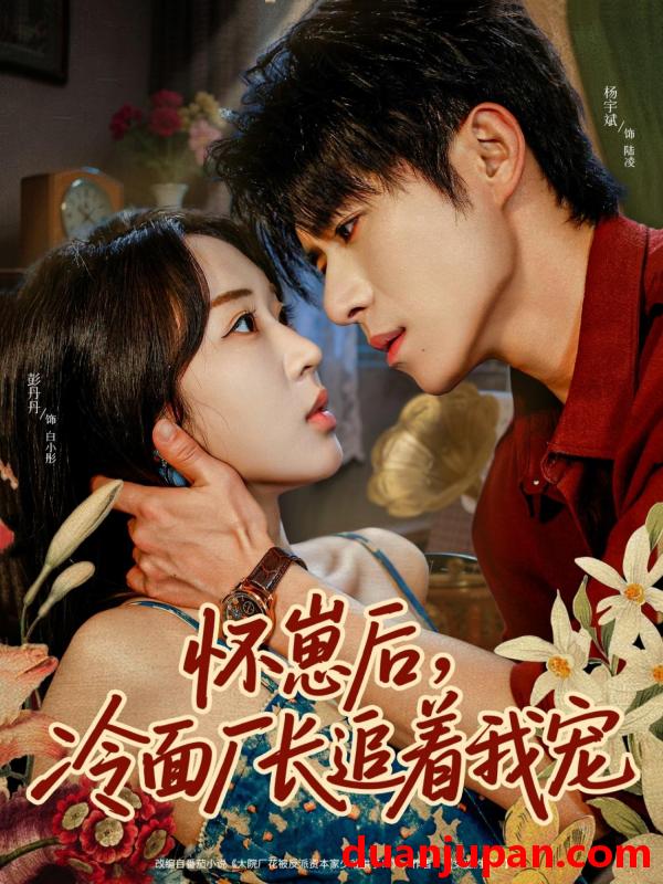 短剧 怀崽后，冷面厂长追着我宠（80集）