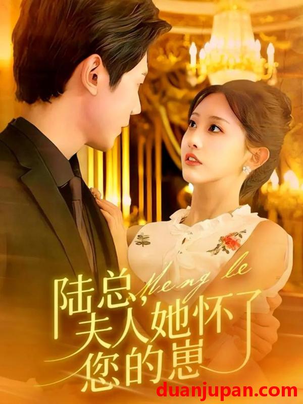 短剧 陆总，夫人她怀了您的崽（89集）