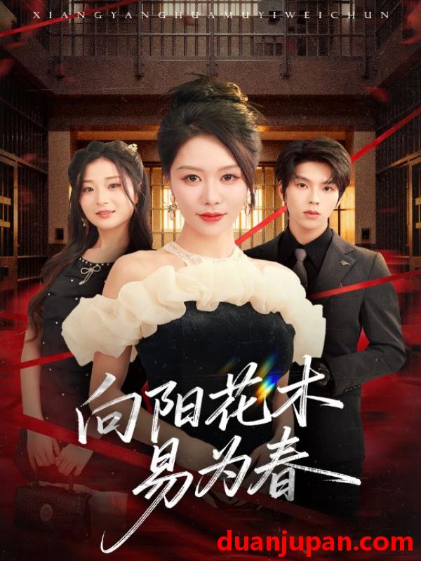 短剧 新：向阳花木易为春（72集）钟莹玲&向帅