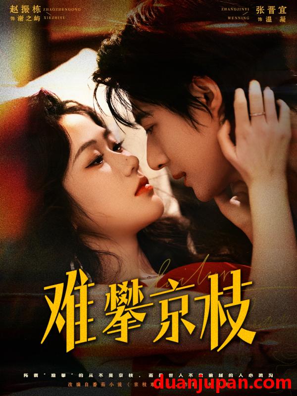 短剧 难攀京枝（74集）赵振栋＆张晋宜