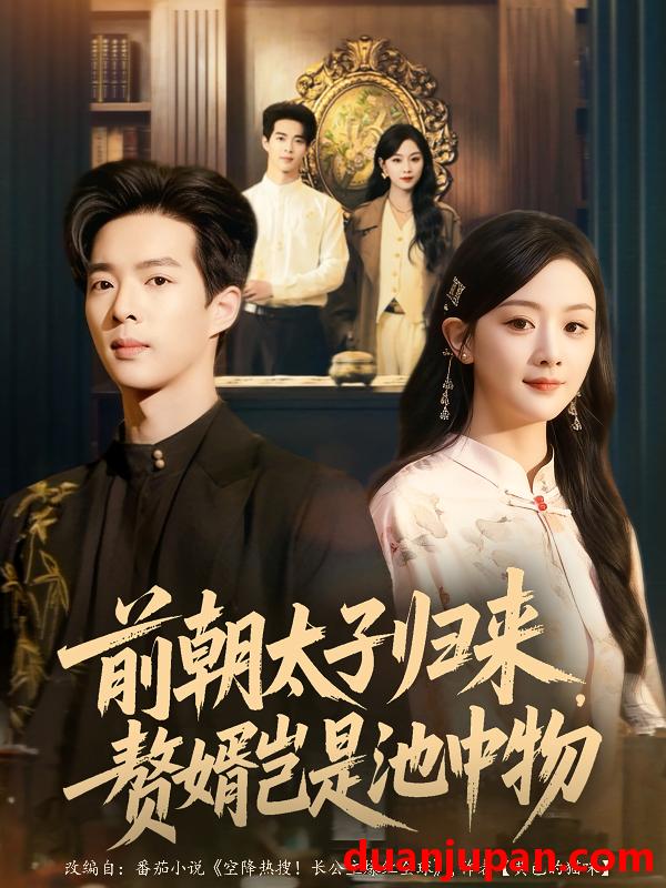 短剧 前朝太子归来，赘婿岂是池中物（80集全）员烽豪/李秀