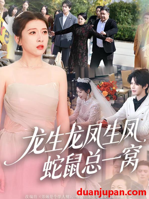 短剧 龙生龙凤生凤，蛇鼠总一窝（60集）曹淼＆牛韵暄