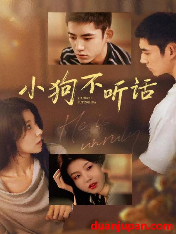 短剧 小狗不听话（70集）马浩东＆何田田