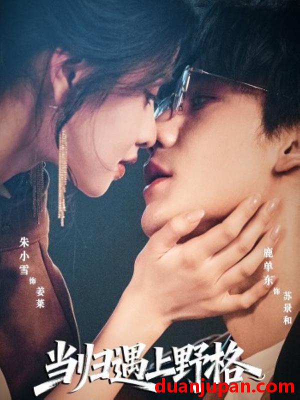 短剧 当归遇上野格（66集）鹿单东&朱小雪