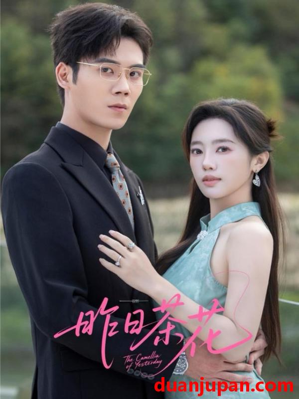 短剧 昨日茶花（56集）