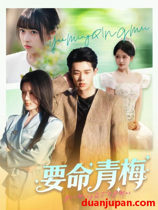 短剧 要命青梅（60集）张凤鑫＆刘艺乔