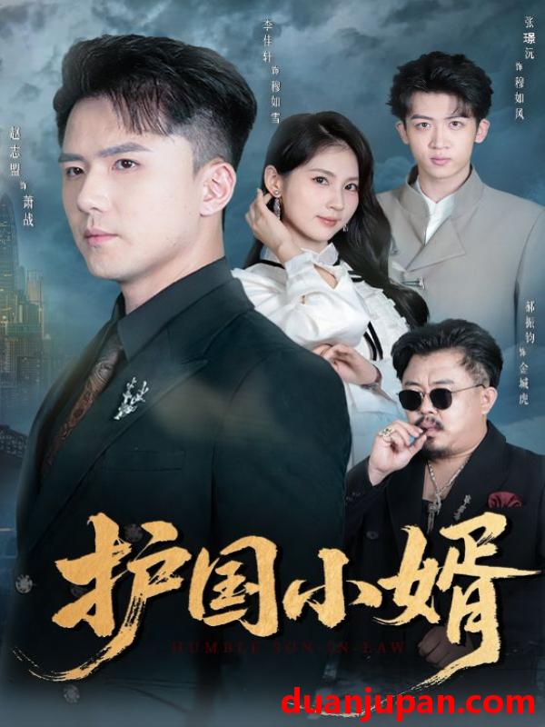 短剧 护国小婿（60集）李佳轩&赵志盟