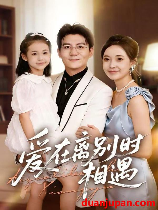 短剧 爱在离别时相遇（60集）刘琪&朱元政&桂羽灿