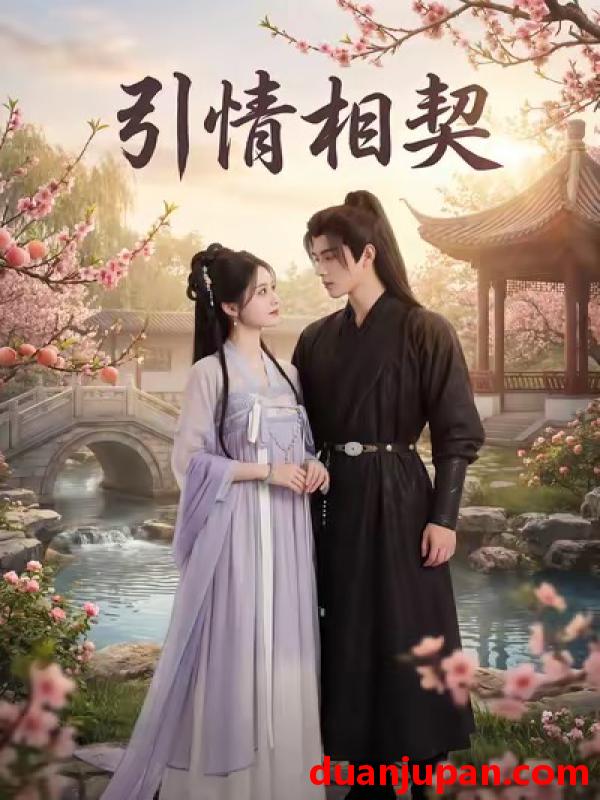 短剧 引情相契（14集）Ai短剧