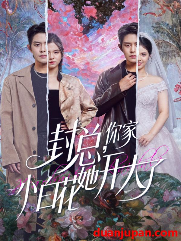 短剧 封总你家小白花她开大了＆大佬你的牙粘口红了（60集）王朝阳＆邓燕妮