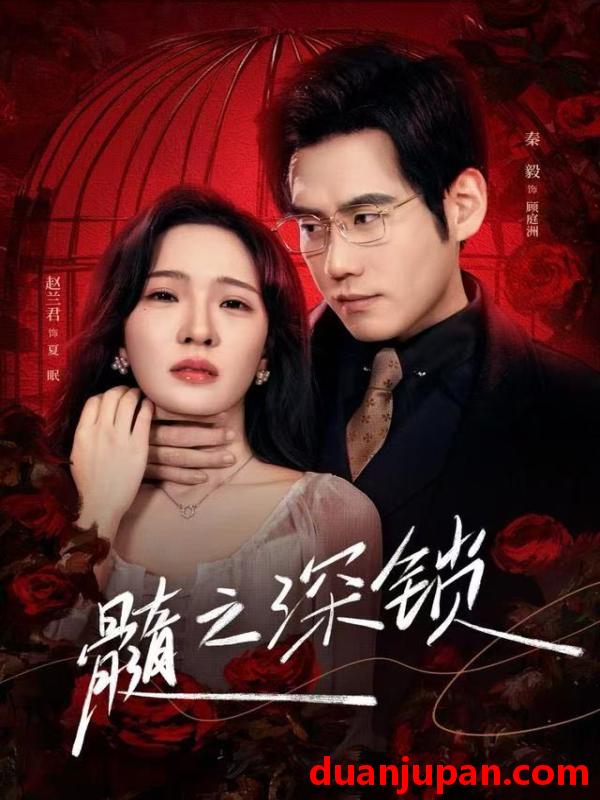 短剧 髓之深锁（84集）赵兰君&秦毅