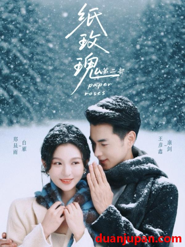短剧 纸玫瑰第二部&纸玫瑰2（80集）王彦鑫＆郑晨雨