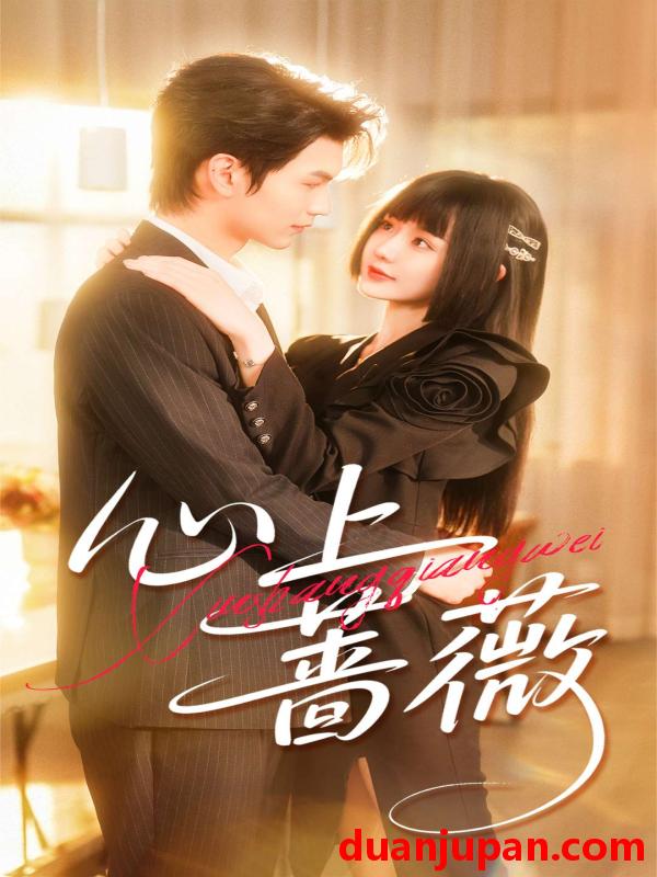 短剧 心上蔷薇（100集）张嘉松＆刘安歌