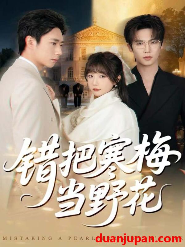 短剧 错把寒梅当野花（60集）