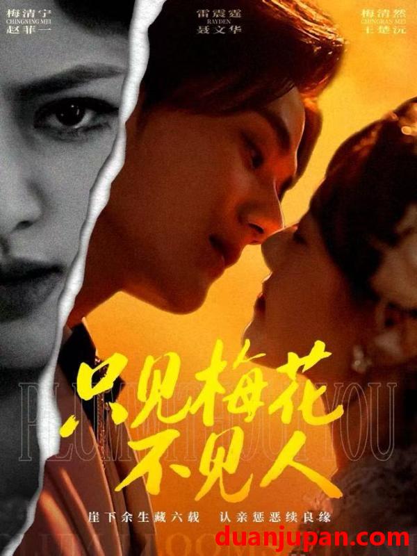 短剧 只见梅花不见人（63集）