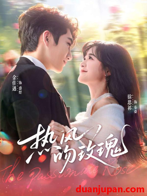 短剧 热风吻玫瑰（66集）