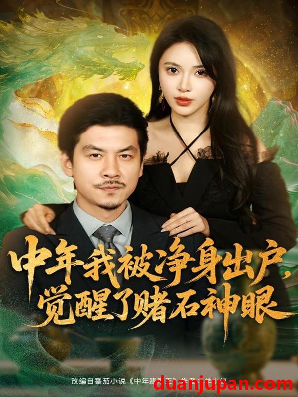 短剧 中年我被净身出户，觉醒了赌石神眼（80集）柯珂（柯以）＆王辉