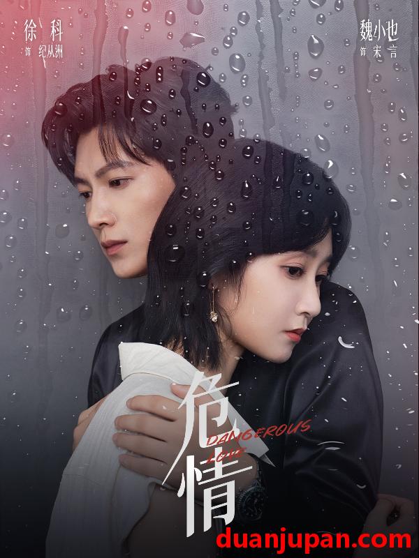 短剧 危情（65集）徐科＆魏小也