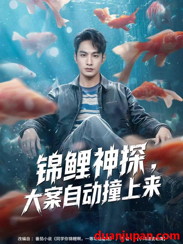 短剧 锦鲤神探，大案自动撞上来（80集）张玉忱＆逯可儿