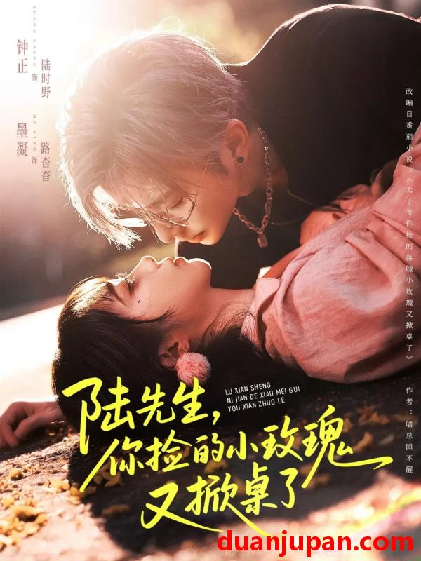 短剧 陆先生，你捡的小玫瑰又掀桌了&陆先生你捡的小玫瑰又掀桌了（74集）钟正＆墨凝