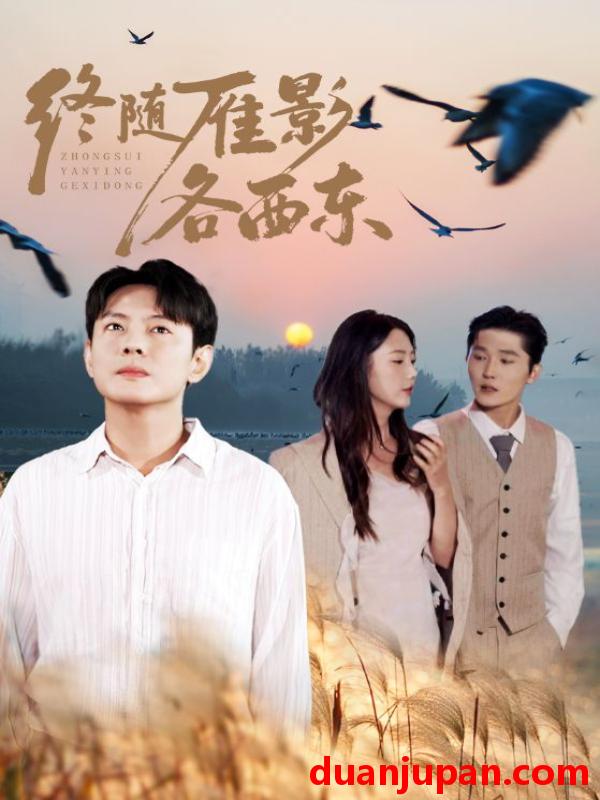 短剧 终随雁影各西东（86集）