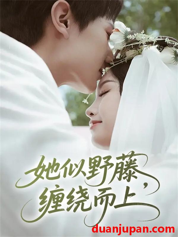 短剧 她似野藤，缠绕而上&她似野藤缠绕而上（51集）万烽＆李文茹