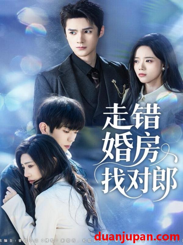 短剧 走错婚房找对郎（50集）刘辰锐＆刘艺然