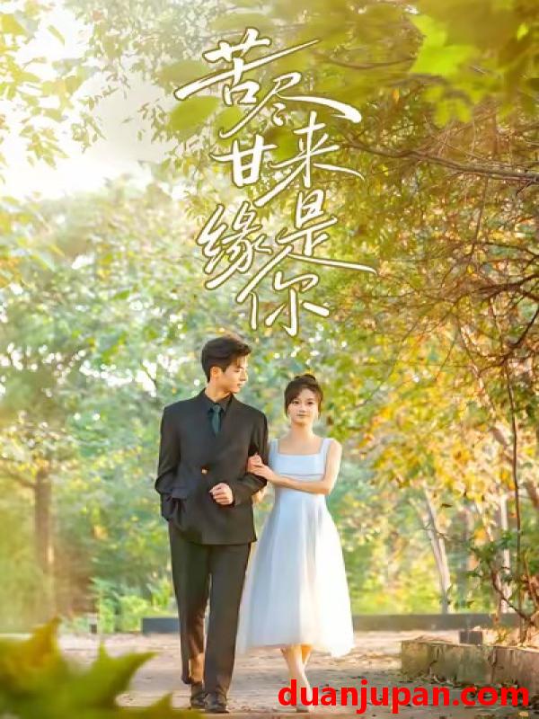 短剧 苦尽甘来缘是你（45集）