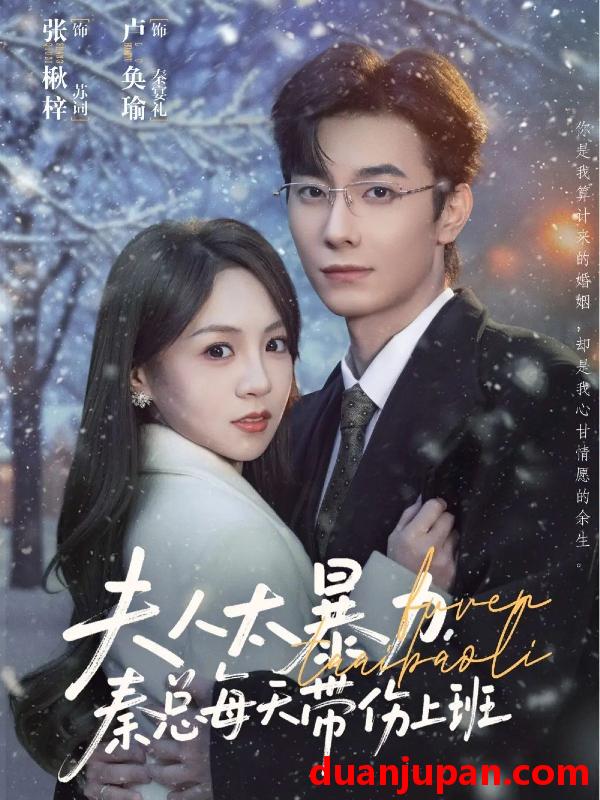 短剧 夫人太暴力秦总每天带伤上班（80集）卢奂瑜＆张楸梓