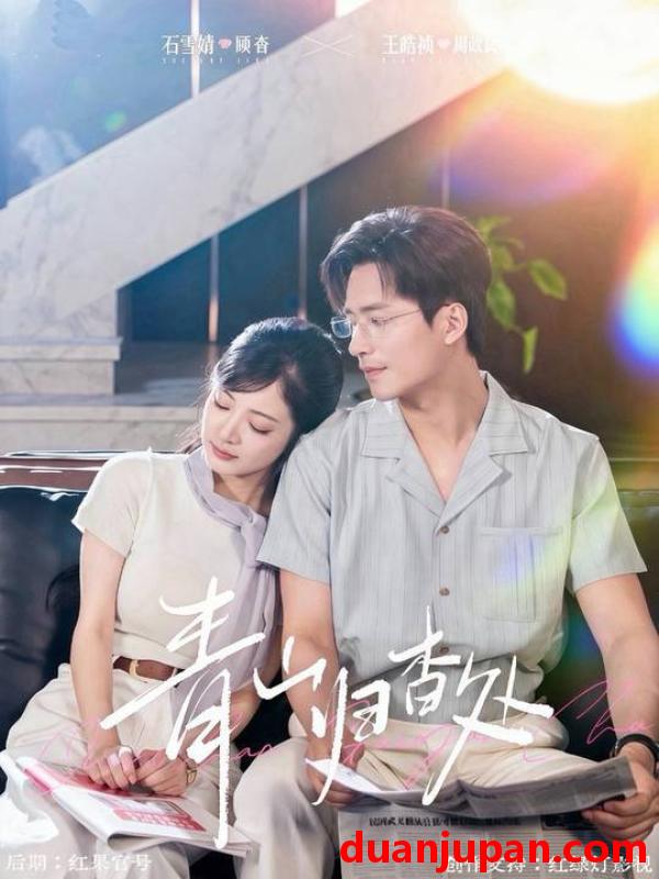 短剧 青山归杳处（81集）王皓祯&石雪婧