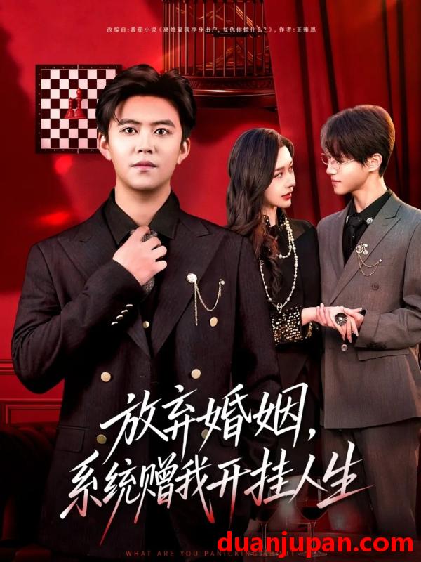 短剧 放弃婚姻系统赠我开挂人生（60集）王依海＆张子唯